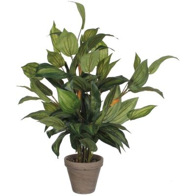 Plante Décorative PVC Hosta Verte - Décor - Publicité Plante Décorative PVC Hosta Verte - Décor - Publicité