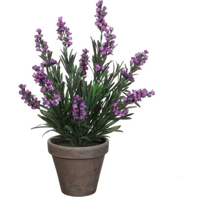 Mica Decorations Lavendel Kunstpflanze in Topf - H33 xØ20 cm - Lila Mica Decorations Lavendel Kunstpflanze in Topf - H33 xØ20 cm - Lila