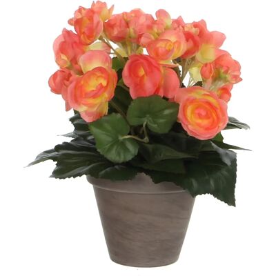 Mica Decorations Zalm Begonia - 30x25cm Kunstpflanze Mica Decorations Zalm Begonia - 30x25cm Kunstpflanze