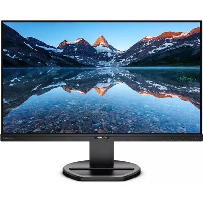 Philips 252B9 Philips 252B9