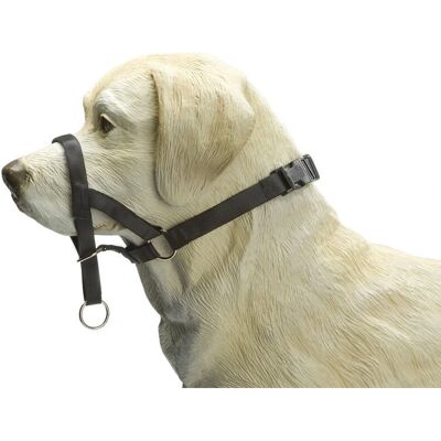 Beeztees 765389 XL Harnais et Muzzle en nylon noir Beeztees 765389 XL Harnais et Muzzle en nylon noir