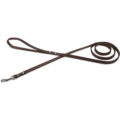 Beeztees - 736384 - 1.65 m - Braun Leder - Leine Beeztees - 736384 - 1.65 m - Braun Leder - Leine