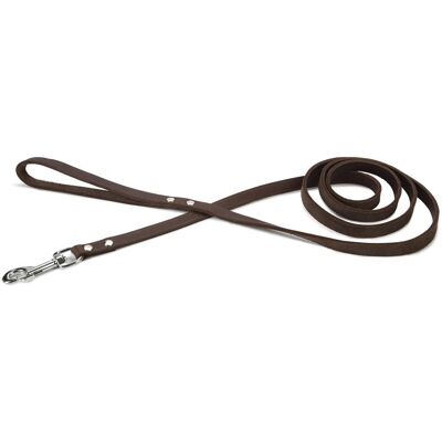 Beeztees - 736388 - Braun - 2 m - Hundeleine Beeztees - 736388 - Braun - 2 m - Hundeleine