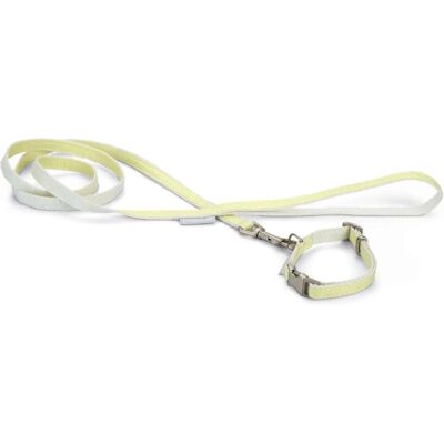 Conjunto de Cuello y Correa para Cachorros Beeztees - Collar y Correa para Perro Conjunto de Cuello y Correa para Cachorros Beeztees - Collar y Correa para Perro