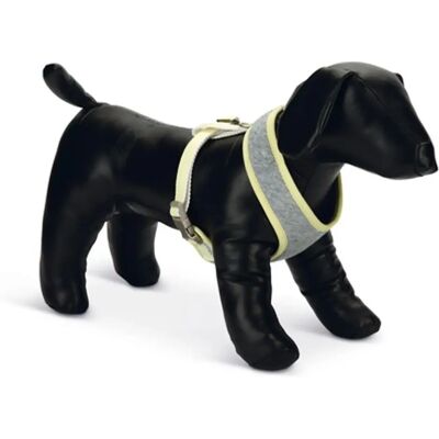 Beeztees Puppy Bronda - Hundhalsband - Grå - M - Hundhalsband för valpar Beeztees Puppy Bronda - Hundhalsband - Grå - M - Hundhalsband för valpar