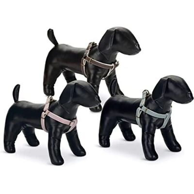 Harnais en nylon Virante de Lotte - Réglable, Menthe - 20mm x 46-75cm - Harnais pour chien - Publicité Harnais en nylon Virante de Lotte - Réglable, Menthe - 20mm x 46-75cm - Harnais pour chien - Publicité