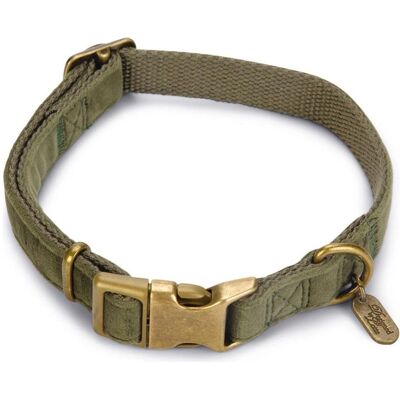 Designed By Lotte - Velura - Verde - Taglia M - Collare per cani Designed By Lotte - Velura - Verde - Taglia M - Collare per cani