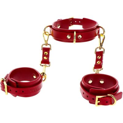 Set Bondage Taboom - Collare e Polsiere Regolabili Set Bondage Taboom - Collare e Polsiere Regolabili