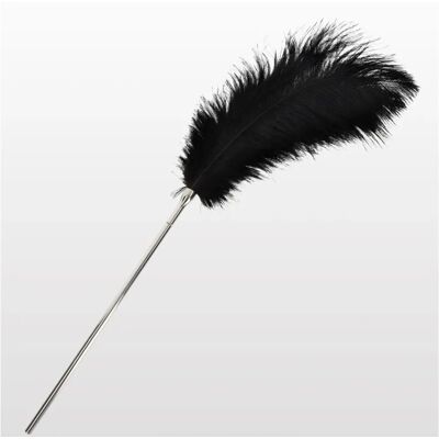 Fouet à Plumes Noir Taboom - Feather Tickler Fouet à Plumes Noir Taboom - Feather Tickler