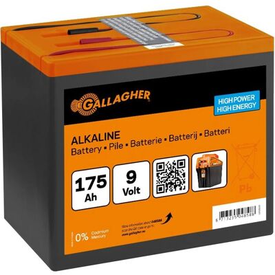 Gallagher 9V175Ah Batterie - Zaunzubehör Gallagher 9V175Ah Batterie - Zaunzubehör
