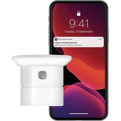 KlikAanKlikUit Zigbee CO-Gassensor - Kohlenmonoxidmelder KlikAanKlikUit Zigbee CO-Gassensor - Kohlenmonoxidmelder