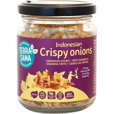 Terrasana Bio Gebackene Zwiebeln - Indonesisches Rezept - 75g Terrasana Bio Gebackene Zwiebeln - Indonesisches Rezept - 75g