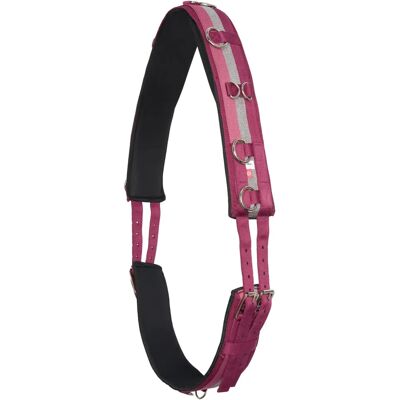 Imperial Riding Nylon Longiergurt - Modernes Trainingszubehör Imperial Riding Nylon Longiergurt - Modernes Trainingszubehör