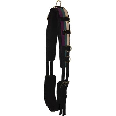 Imperial Riding Longiergurt en nylon IRHDeluxe Extra Multi Forest Green - Lunging Girth - Publicité Imperial Riding Longiergurt en nylon IRHDeluxe Extra Multi Forest Green - Lunging Girth - Publicité