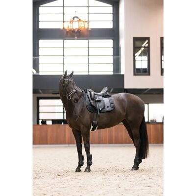 Imperial Riding Strykkappor IRHLovely Black - accessoires pour cheval - Publicité Imperial Riding Strykkappor IRHLovely Black - accessoires pour cheval - Publicité