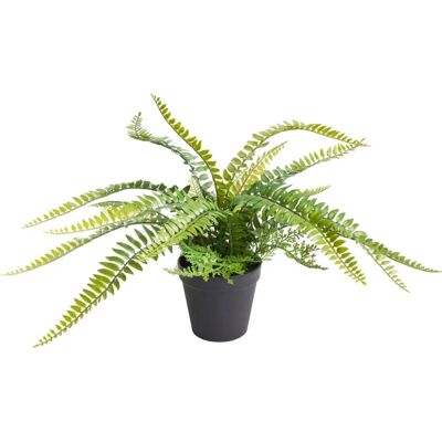 BOTANIC-HAUS Farn mit 18 Blättern Künstliche Pflanze - Innenraumdeko BOTANIC-HAUS Farn mit 18 Blättern Künstliche Pflanze - Innenraumdeko