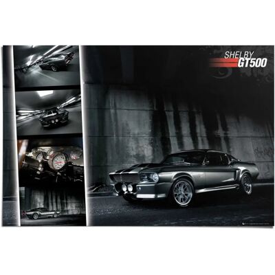 Reinders! Poster Ford Easton Mustang GT500 - Poster Reinders! Poster Ford Easton Mustang GT500 - Poster