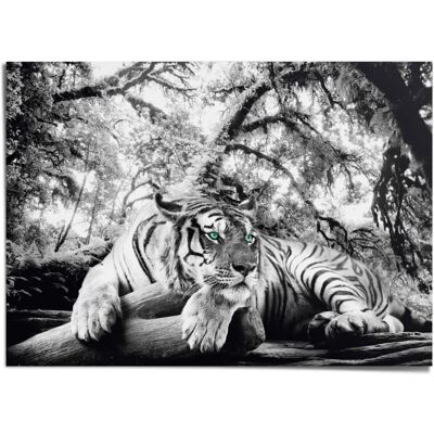 Reinders! Poster Tiger 100x70cm - Poster Reinders! Poster Tiger 100x70cm - Poster