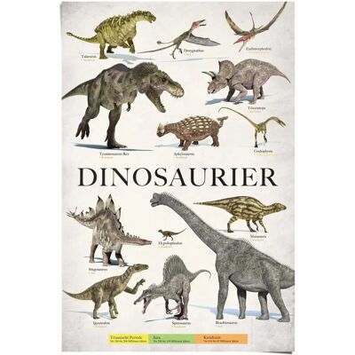 REINDERS - Dinosaurier - Grün - 61 x 91,5 cm - Poster REINDERS - Dinosaurier - Grün - 61 x 91,5 cm - Poster