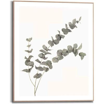 Reinders! Eukalyptus Grün Bild mit Rahmen 40x50 cm - Bild Reinders! Eukalyptus Grün Bild mit Rahmen 40x50 cm - Bild