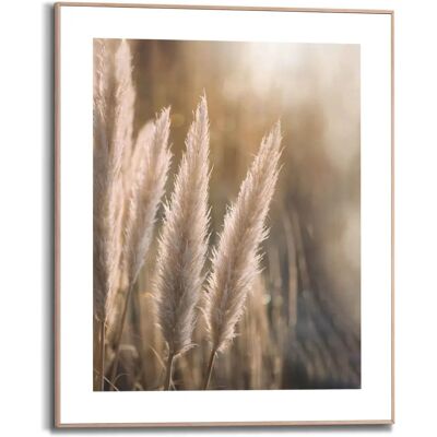Reinders! Kunstdruck - Pampas - 40x50cm - Beige - Kunstdruck Reinders! Kunstdruck - Pampas - 40x50cm - Beige - Kunstdruck