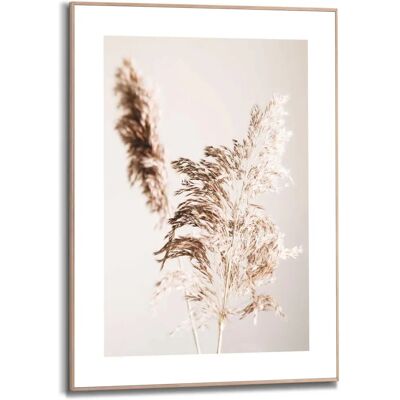 REINDERS - Gerahmtes Pampasgras Natur - Framed print REINDERS - Gerahmtes Pampasgras Natur - Framed print