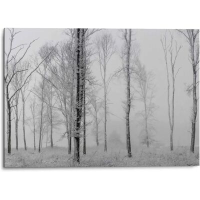Reinders! Aluminium Wandbild Stillleben - Schwarz-Weiß - Wald - Bäume - 70x50cm Reinders! Aluminium Wandbild Stillleben - Schwarz-Weiß - Wald - Bäume - 70x50cm