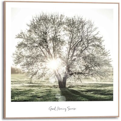 Reinders! Poster - Morgensonne - 50x50 cm - Kunstdruck Reinders! Poster - Morgensonne - 50x50 cm - Kunstdruck