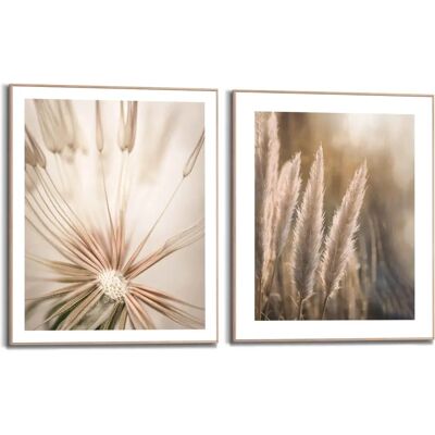 Reinders! Wandbild - Natur Botanisch - Pampas Löwenzahn - 40x50 cm Reinders! Wandbild - Natur Botanisch - Pampas Löwenzahn - 40x50 cm