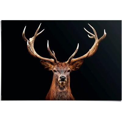REINDERS - Hirsch - Braun - 91,5x61 cm - Poster REINDERS - Hirsch - Braun - 91,5x61 cm - Poster