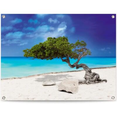 REINDERS - Tropische Insel - Blau - 80x60 cm - Poster REINDERS - Tropische Insel - Blau - 80x60 cm - Poster