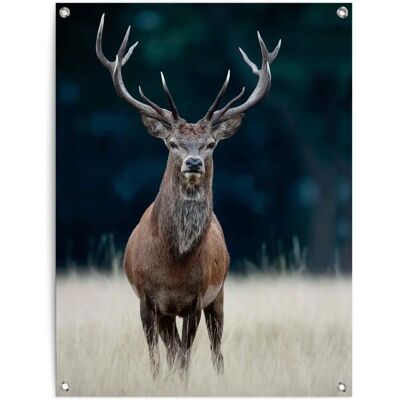 REINDERS - Hirsch - 60x80 cm - Braun - Poster REINDERS - Hirsch - 60x80 cm - Braun - Poster