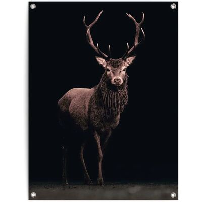 REINDERS - Hirsch Sepia - 60x80 cm - braun - Poster REINDERS - Hirsch Sepia - 60x80 cm - braun - Poster