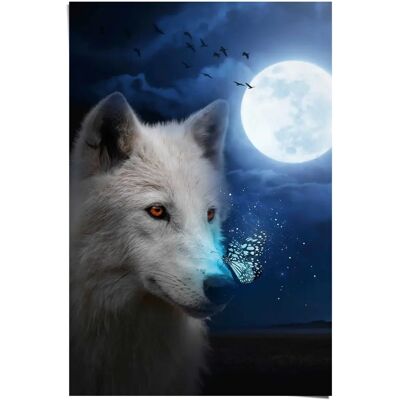 REINDERS - Weißer Wolf - Blau - Poster REINDERS - Weißer Wolf - Blau - Poster