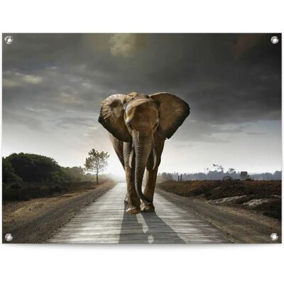 Reinders - Elefantenkönig - Braun - 80x60 cm - Poster Reinders - Elefantenkönig - Braun - 80x60 cm - Poster