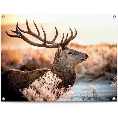 Reinders - Hirsch - 80x60 cm - braun - Poster Reinders - Hirsch - 80x60 cm - braun - Poster