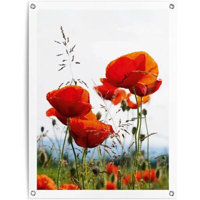 Reinders - Mohnblumen - Rot - 60x80 cm - Poster Reinders - Mohnblumen - Rot - 60x80 cm - Poster