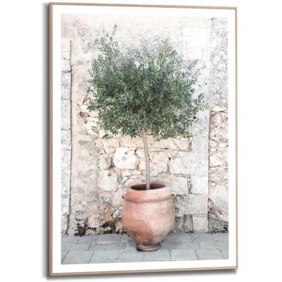 Reinders Olive Tree Wandbild - Bild Reinders Olive Tree Wandbild - Bild
