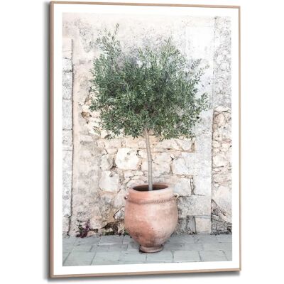 Reinders Olive Tree Wandbild - Bild Reinders Olive Tree Wandbild - Bild