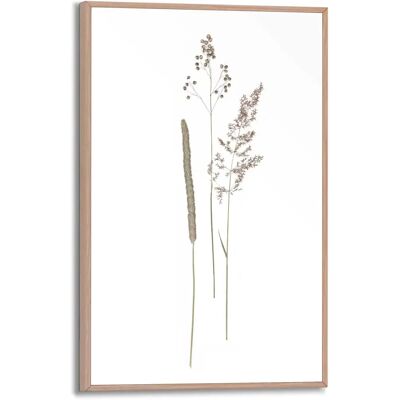 REINDERS - Dried Flowers - beige - 20x30cm - Wandkunst REINDERS - Dried Flowers - beige - 20x30cm - Wandkunst
