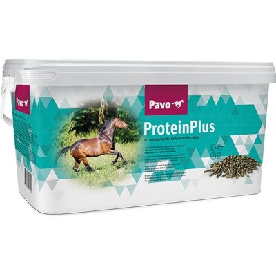 Pavo ProteinPlus - Doplněk krmiva pro koně - 7 kg Pavo ProteinPlus - Doplněk krmiva pro koně - 7 kg
