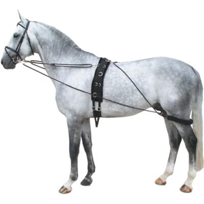 Équipement d'entraînement pour chevaux PREMIERE - Contrôle efficace de l'équilibre - Publicité Équipement d'entraînement pour chevaux PREMIERE - Contrôle efficace de l'équilibre - Publicité