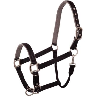 BR Equitation Event Pferdehalfter - Verstellbares Nylon mit Fleece BR Equitation Event Pferdehalfter - Verstellbares Nylon mit Fleece