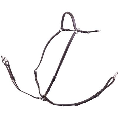 Rayleigh BR EQUITATION Collier pour Chevaux - Cuir ajustable avec boucles en acier inoxydable - Publicité Rayleigh BR EQUITATION Collier pour Chevaux - Cuir ajustable avec boucles en acier inoxydable - Publicité