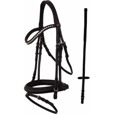 Premiere Anatomisches Reithalfter - Schwarz - Cob Premiere Anatomisches Reithalfter - Schwarz - Cob