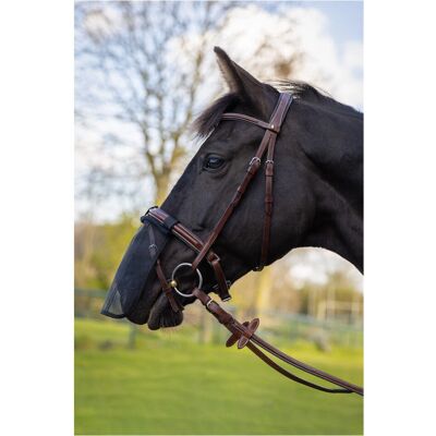 BR EQUITATION Pfernase Schutz - Nasenmaske für Pferde BR EQUITATION Pfernase Schutz - Nasenmaske für Pferde