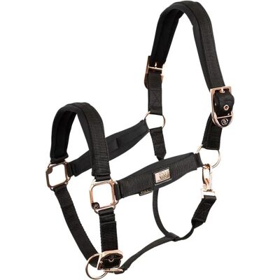 Bride Rose Gold Selle Rose Gold - Accessoire Équitation - Publicité Bride Rose Gold Selle Rose Gold - Accessoire Équitation - Publicité