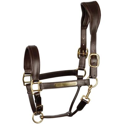 HARRY'S HORSE Halte de Cheval en Cuir Marron - Luxe, Anatomique, Réglable - Publicité HARRY'S HORSE Halte de Cheval en Cuir Marron - Luxe, Anatomique, Réglable - Publicité