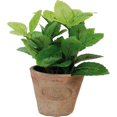 Plante artificielle Esschert Design AH003 - Menthe/Vert - Publicité Plante artificielle Esschert Design AH003 - Menthe/Vert - Publicité