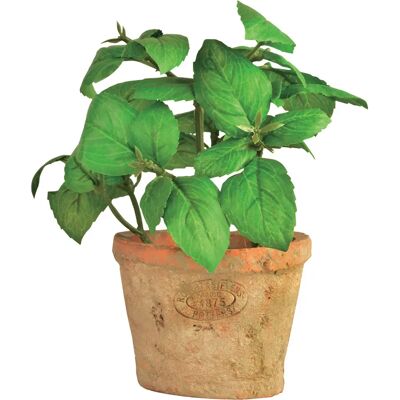 Esschert Design AH007 plante artificielle - Thym - Plante Artificielle - Publicité Esschert Design AH007 plante artificielle - Thym - Plante Artificielle - Publicité